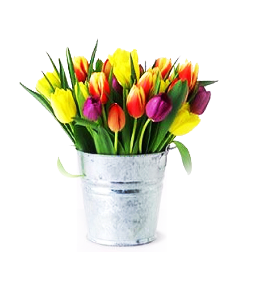 Tulipanes en Florero Galvanizado Primaveral